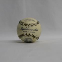 10166_ca_object_representations_media_5415_original.jpg