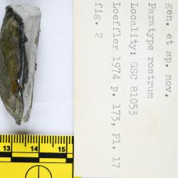 Canadapteraspis Dineley & Loeffler, 1976