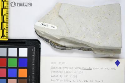 Canadapteraspis Dineley & Loeffler, 1976