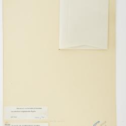 Arceuthobium campylopodum