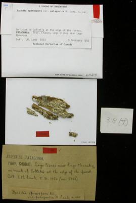 canl6024_s.jpg