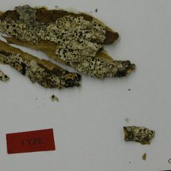 canl6024_2s.jpg