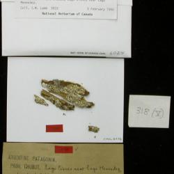 canl6024_s.jpg