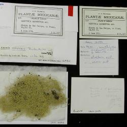 canl16582_s.jpg