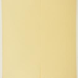 Abutilon Tourn. ex Mill.