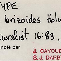 Arctophila (Rupr.) Andersson