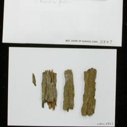 canl5847_s.jpg