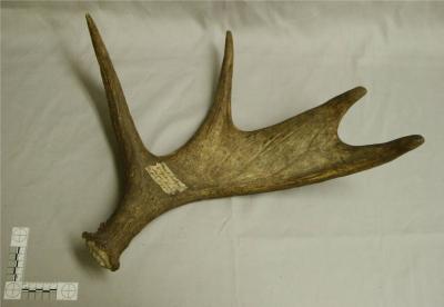 59754_ca_object_representations_media_228_original.jpg